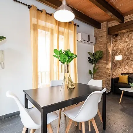 Apartamentos Afán de Ribera-3